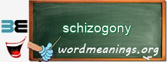 WordMeaning blackboard for schizogony